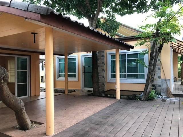 ให้เช่าบ้านเดี่ยว1ชั้นย่านพรานนก แยกไฟฉาย จรัญปิ่นเกล้าใกล้MRTแยกไฟฉาย