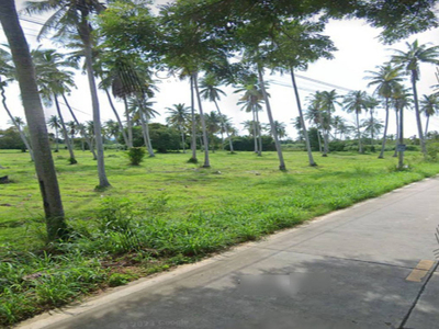 ที่ดินเปล่า ติดถนน 3 ด้าน ห่างจากถนนชบ. 1008 แค่ 400 เมตร