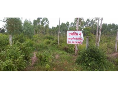 ขายที่ดินทำเลทอง    อำเภอเมือในเมือง   ตำบลพิมาย  จังหวัดนครราชสี