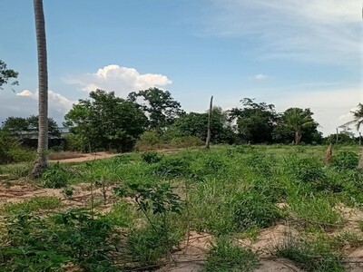 ขายที่ดินนิคมพัฒนาระยอง  6   ไร่ 