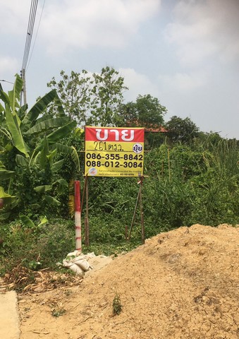 ขายที่ดินเปล่าข้าง ม.มหิดล ศาลายา  ซอยศาลายา-บางภาษี5 เนื้อที่ 261 ตารางวา    ZT194 