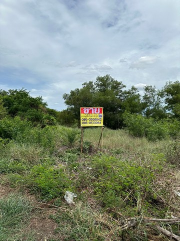 ขายที่ดิน หมู่บ้านชัชฎาวิลล่า 4 ติดถนน3ด้าน เนื้อที่ 319.8 ตารางวา  พุทธมณฑลสาย3  ZT193 