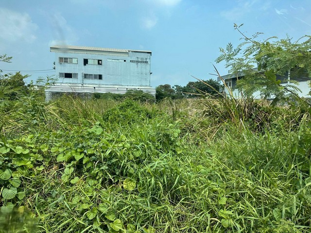 ขายที่ดิน ซอยเฉลิมพระเกียรติ 30  เนื้อที่ 355 ตารางวา  ใกล้สวนหลวงร.9  ZT186