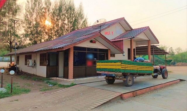 ขายบ้านเดี่ยว       อำเภอวังเจ้า   ตาก (PKK02-15396)