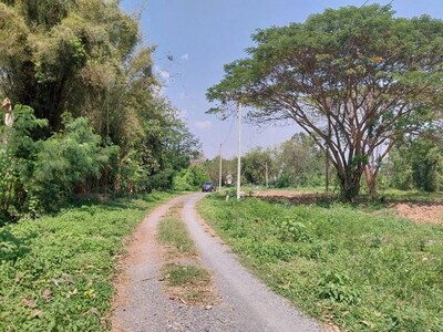 ที่ดิน แหล่งชุมชน เข้าซอยไม่ลึก ท่าวังตาล สารภี   