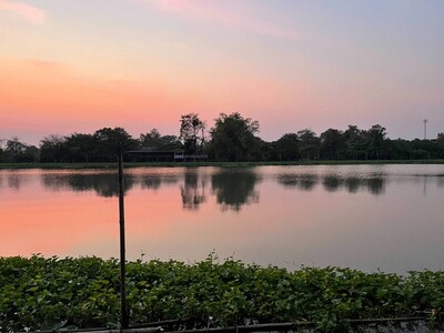 ที่ดินติดแม่น้ำท่าจีน นครชัยศรี พร้อมบ้านพัก 4 หลัง เนื้อที่ 5-2-