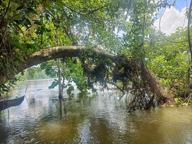 ขายที่ดินติดแม่น้ำแม่กลอง กาญจนบุรี  150 ตรว ถมแล้ว บรรยากาศวิวดีมาก เหมาะสร้างบ้าน หรือซื้อเก็บไว้