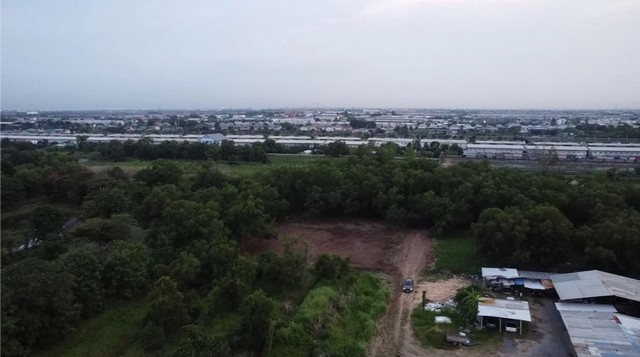 ขายด่วน ที่ดินสวย คลองสาม ใกล้ธรรมกาย คลองหลวง ปทุมธานี