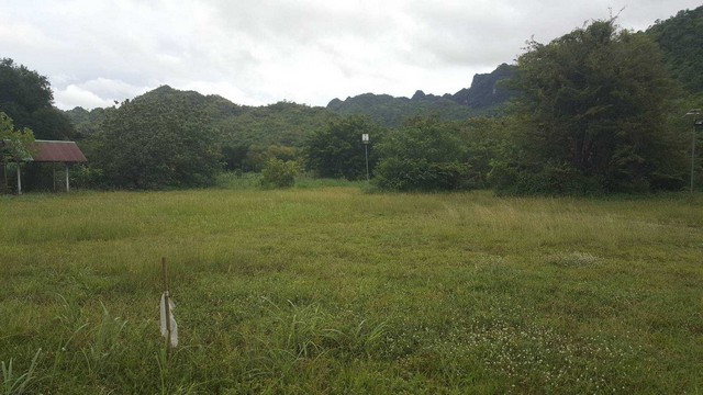 ขายที่ดินเปล่า 5ไร่ ติดปอป่านโฮมเสตย์ ด้านหน้าวิวภูเขา   ด้านหลังติดแม่น้ำ  ต.วังกระแจะ อ.ไทรโยค จ.กาญจนบุรี  ZB022