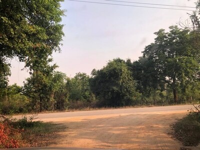 พรีเซ้นทรัพย์ทำเลทองใกล้สิ้นปี ขายที่แปลงสวยติดติดทางหลวง1107 จ.ต พรีเซ้นทรัพย์ทำเลทองใกล้สิ้นปี ขายที่แปลงสวยติดติดทางหลวง1107 จ.ต