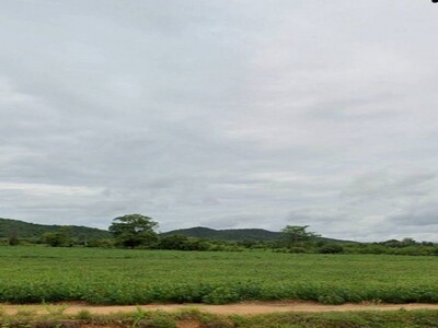 ขายถูกมาก ที่ดินแปลงใหญ่ วิวภูเขาชัดเจน ทำเลทอง อ.บ้านไร่ จ.อุทัย