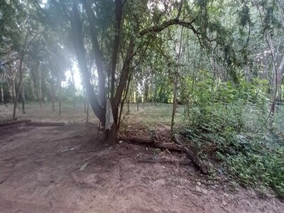 ขายที่ดินติดแม่น้ำโขง วิวสุดปัง ที่เชียงคาน จ.เลย – แปลงสวย 14 ไร