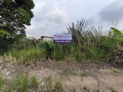 ขายที่ดินเปล่าบางนา ใกล้เมกาบางนา ทำเลอนาคต! ผังเมืองสีส้ม 