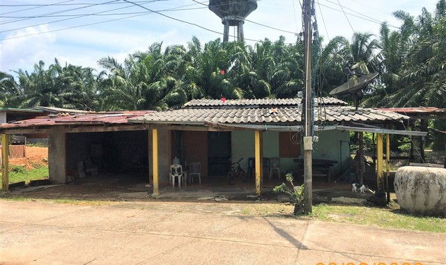 ขายบ้านเดี่ยว      อำเภอคลองท่อม  กระบี่ (PKK02-08110)