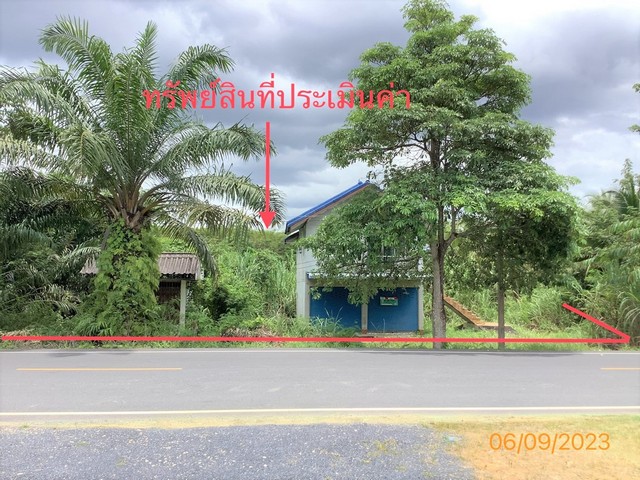 บ้านเดี่ยใกล้ โลตัสโกเฟรช จันดี อำเภอนาบอน จังหวัดนครศรีธรรมราช PKK02-10014