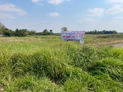 ที่ดิน 1-3-59.0 ไร่ ต.ขามทะเลสอ อ.ขามทะเลสอ จ.นครราชสีมา