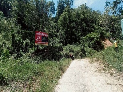 ขายที่เปล่าภูเก็ต ที่ดินอำเภอกะทู้ภูเก็ต ที่ภูเก็ตวิวภูเขา