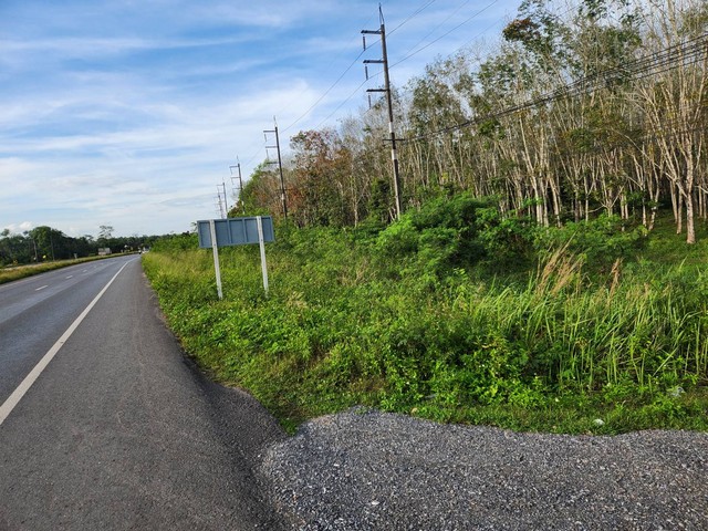 ขายด่วน ที่ดินโฉนด ริมถนนสายเอเซีย ต.คลองไทร อ.ท่าฉาง จ.สุราษฏร์ธานี