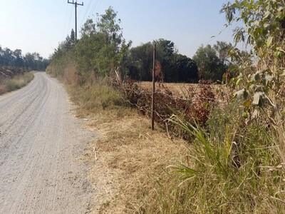 สู่ยุคที่เกษตรเศรฐกิจ ขายที่ปากช่อง 2-8ไร่ โฉนด ต.วังไทร ไร่ละ 2.