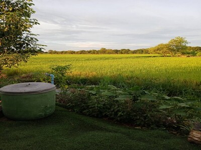 สู่ยุคหาที่ทำทางเศรฐกิจ ให้เช่าสถานที่ถ่ายทำหนังละคร  ไทรน้อย 