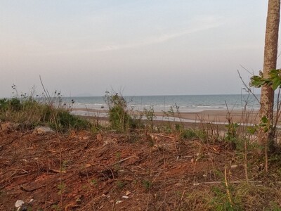 สู่ยุคหาที่ทำเกษตรเศรฐกิจ  ที่ติดทะเลฝั่งแดงSeaview สวยมาก