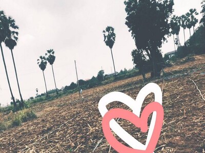 ยุคทรัพย์เอื้อเศรฐกิจ  ขายที่ติดแม่น้ำน่าน ต.โคกหม้อ ชุมแสง.นครสว