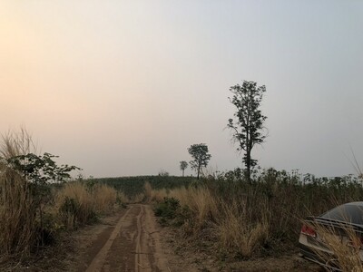 สู่ยุคทรัพย์เอื้อเศรฐกิจ ที่บนเนินเขา สูงจากน้ำทะเล หล่มเก่า เพชร