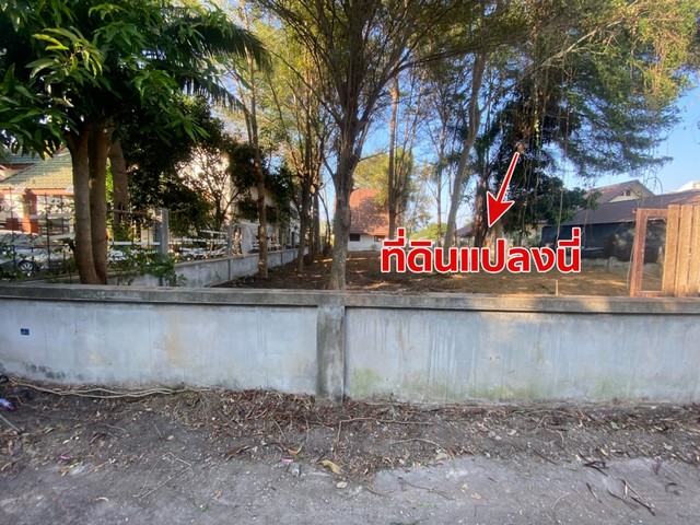 ขายที่ดิน 161 ตร.วา ในหมู่บ้านโชคดีวิลเลจ หลังห้างแหลมทอง ตัวเมืองระยอง