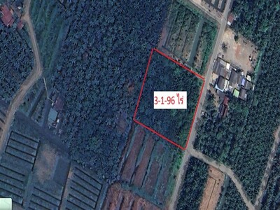 ขายที่ดิน อ.เมืองสมุทรสงคราม เนื้อที่ 3-1-96 ตร.ว.