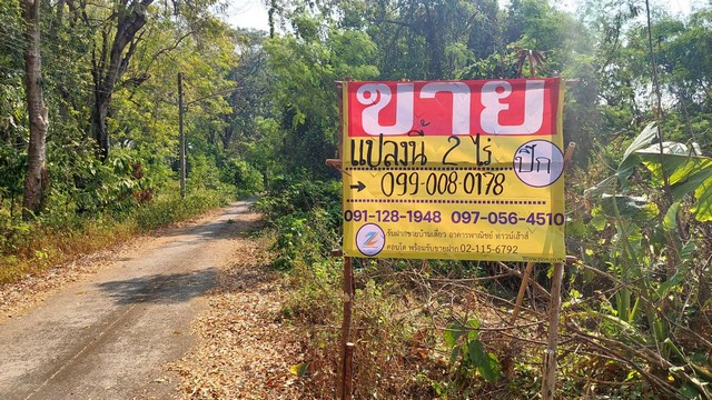 ขายที่ดินติดริมโขง 2ไร่ บ้านบอน ใกล้วัดเหล่าสินชัย  ต.หาดคำ อ.เมือง จ.หนองคาย ZP003 