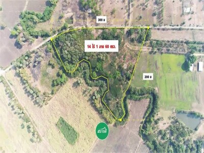 ขายที่ดินพร้อมสวนป่า อำเภอชัยบาดาล จังหวัดลพบุรี เนื้อที่ 14 ไร่