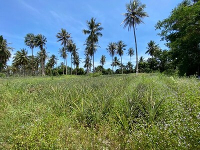 ขาย ที่ดินพร้อมสิ่งปลูกสร้าง อำเภอทับสะแก ประจวบคีรีขันธ์