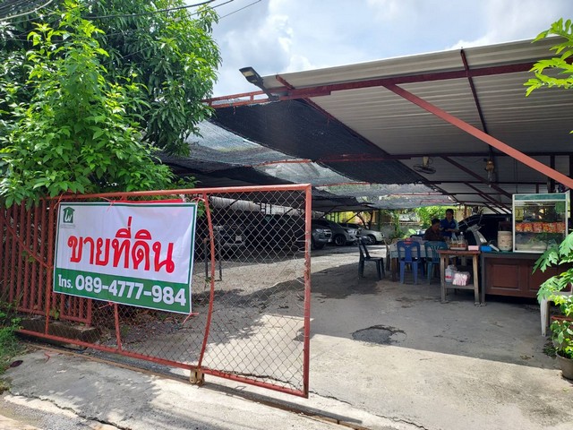 ขายที่ดินเปล่า ถมแล้ว 123 ตร.ว. ซอยเชลียง 3 พระโขนง กรุงเทพ