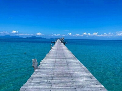 ขายที่ดินรีสอร์ตเกาะหมาก ตราด ที่ดิน105ไร่3งาน ติดชายหาด364เมตร