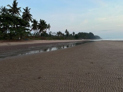 หน้าฝนมีทรัพย์ดีเสดชื่นหัวใจ ที่ดินสวยใกล้หาดฝั่งแดง 2.8 ลบ.