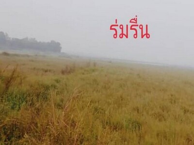 หน้าฝนมีทรัพย์ดีเสดชื่นหัวใจ  ที่สวยติดถนนคอนกรีต ต.อ.มหาราช อยุธ