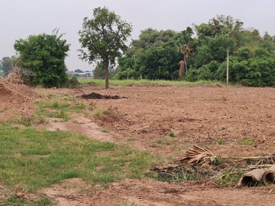 ซื้อไว้ดีมีไว้รวยอสิงหา ขายที่ติดแม่น้ำน่าน ต.โคกหม้อ ชุมแสง.นครส