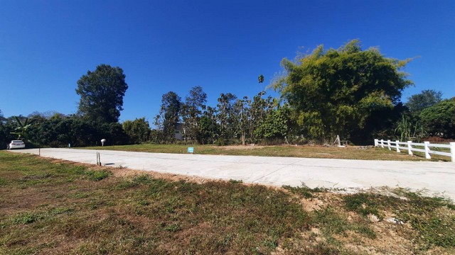 ขายด่วน ที่ดินหลังตลาดแม่มาลัย งานละ6 แสน หน้ากว้าง 26 เมตร ลึก 16 เมตร