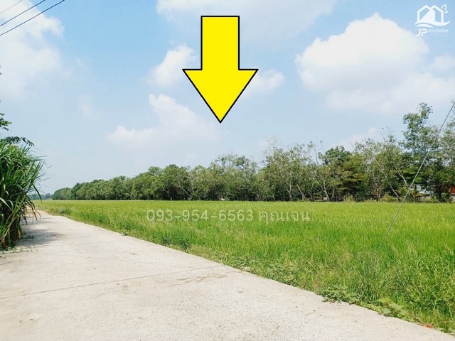 ขายที่ดิน คลอง 12 หนองเสือ 3 ไร่ เหมาะ ปลูกบ้าน ทำการเกษตร แบ่งแปลงเป็น200 ตรวไว้เแล้ว  