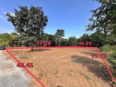 ขายที่ดินเปล่าบางพระ ศรีราชา ฮวงจุ้ยดี หลังเขา หน้าเห็นวิวทะเล