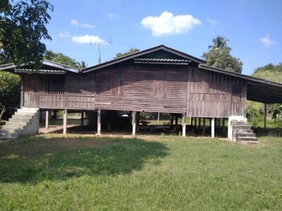 ขายที่ดินแปลงสวย ทำเลดี พร้อมสิ่งปลูกสร้าง บ้านสวน ชลบุรี