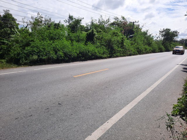 ขายที่ดิน ในคลอง13 ลำลูกกา ตำบลพืชอุดม อำเภอลำลูกกา  จังหวัดปทุมธานี
