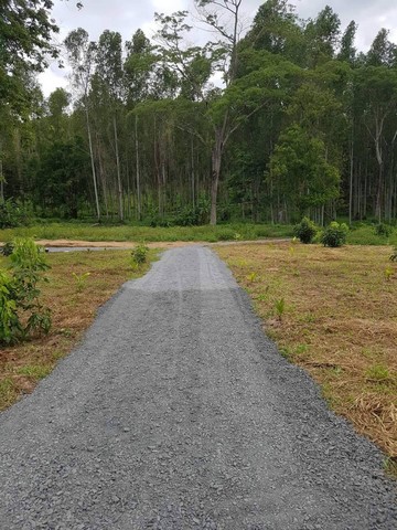 ขายที่ดินชานเมืองเชียงใหม่ ใกล้แหล่งท่องเที่ยว อำเภอดอยสะเก็ด จังหวัดเชียงใหม่ ขนาด 6 ไร่