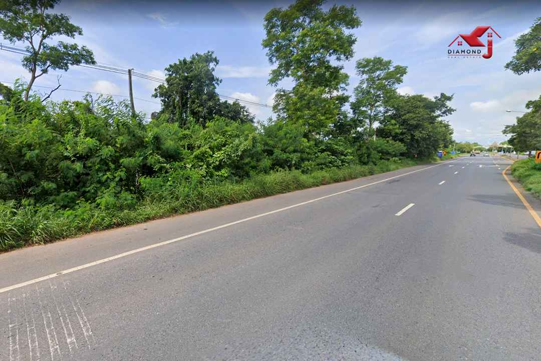 ที่ดินติดถนนทางหลวงหมายเลข 115 (4เลน) ห่างวิทยาลัยเกษตรและเทคโนโลยีพิจิตรประมาน 100 เมตร