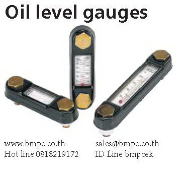 Steel oil level gauge, แท่งมองระดับน้ำมัน, Amecoil, Disc spring, wave washer Steel oil level gauge, แท่งมองระดับน้ำมัน, Amecoil, Disc spring, wave washer