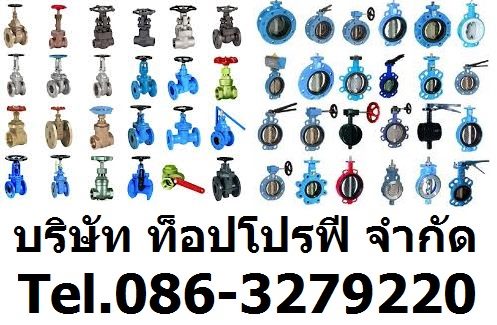 แพนเช็ควาล์ว วูซังวาล์ว เช็ควาล์ว วาล์วกันกลับ บอลเช็ควาล์ว สวิงเช็ควาล์ว 0863279220