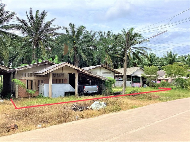 ขายบ้านเดี่ยว     อำเภอคลองท่อม กระบี่ (PKK02-11582)