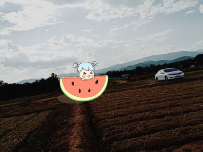 โปรปลายปีรับลมหนาว ขายที่ติดแม่น้ำน่าน อ.ท่าวังผา น่าน 0968821857