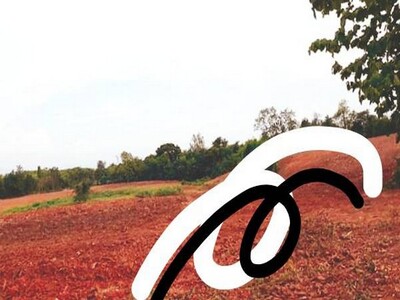 โปรปลายปีรับลมหนาวมาแล้ว ที่บนเนินเขา สูงจากน้ำทะเล หล่มเก่า เพชร