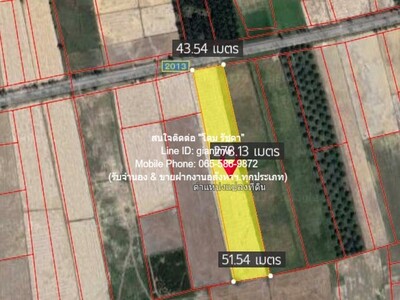 //ถูกสุด//ขายที่ดินทุ่งนา ต.ชัยบุรี อ.เมืองพัทลุง 7-2-10 ไร่ 4 ล้